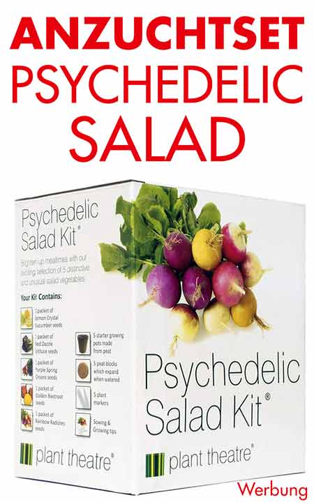 Anzuchtset Psychedelic Salad