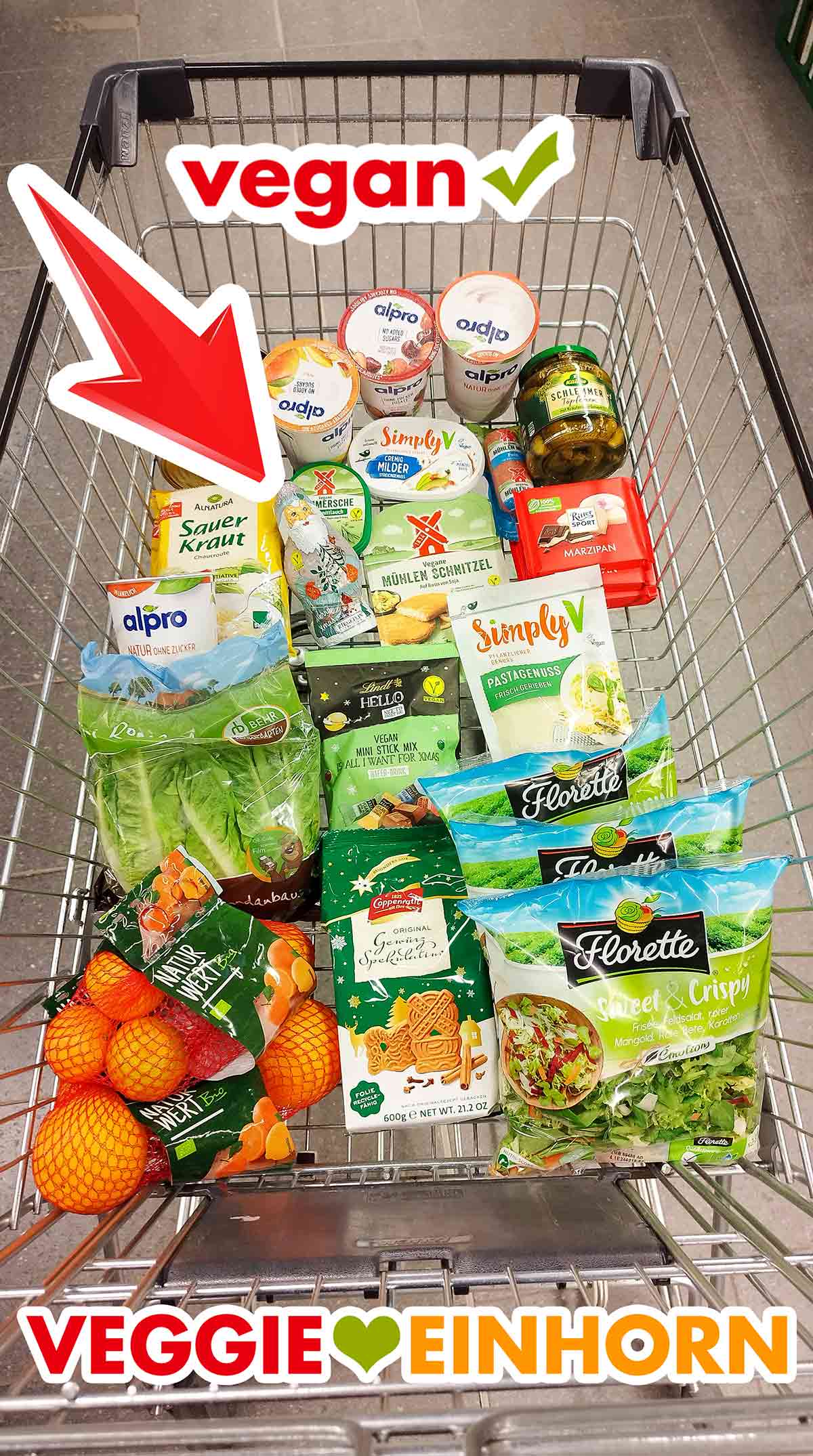 Einkaufswagen mit veganen Lebensmitteln und dem veganen Riegelein Weihnachtsmann