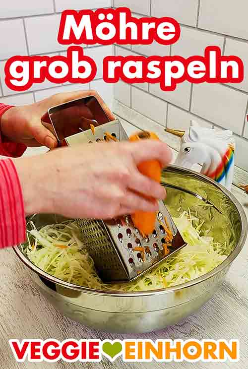 Eine Möhre wird auf einer Reibe geraspelt