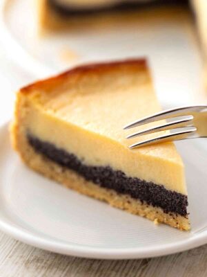 Saftiger veganer Mohn Käsekuchen