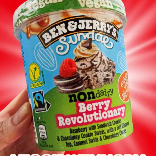 Ben and Jerry's Sundae Non Dairy Berry Revolutionary
