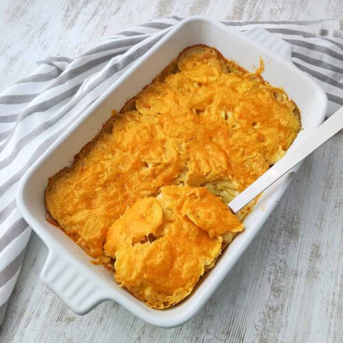 Auflaufform mit Kartoffelgratin mit veganem Käse.